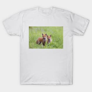 Red fox kits in the grassy meadow T-Shirt